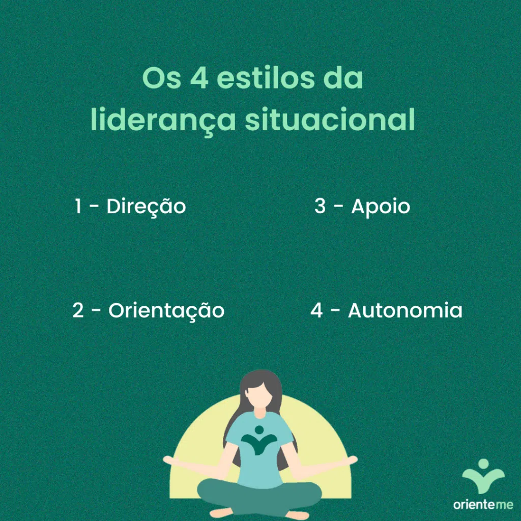 os 4 estilos da liderança situacional