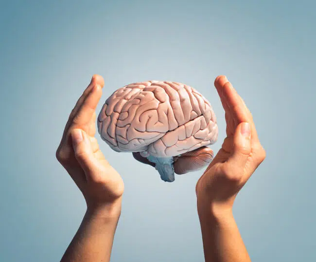 neurodivergente - O que é Neurodivergente? Exemplos, sinais e principais dúvidas! Mãos segurando um cérebro mostrando os tipos de neurodivergentes